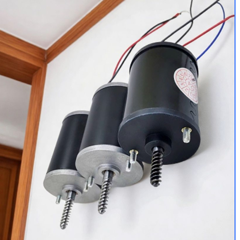 Motor Antitirones de 24V 48V d - Crane Claw Motor reseña y precio