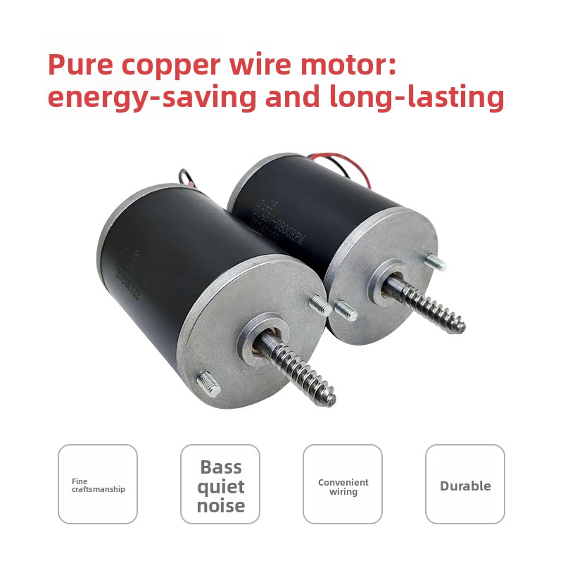 Motor duradero de 24V 48V para - Crane Claw Motor reseña y precio